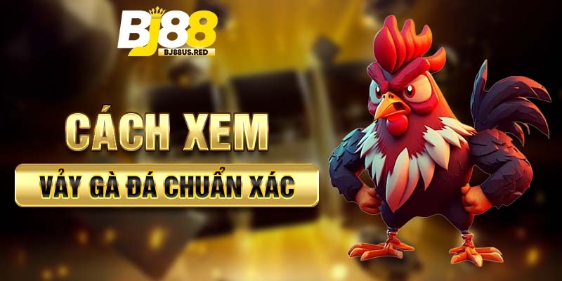 Cách xem vảy gà đá chuẩn xác