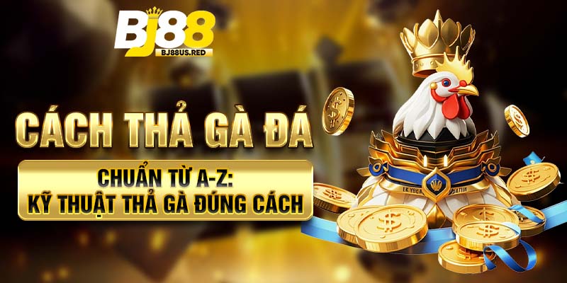 Cách thả gà đá chuẩn từ A-Z: Kỹ thuật thả gà đúng cách