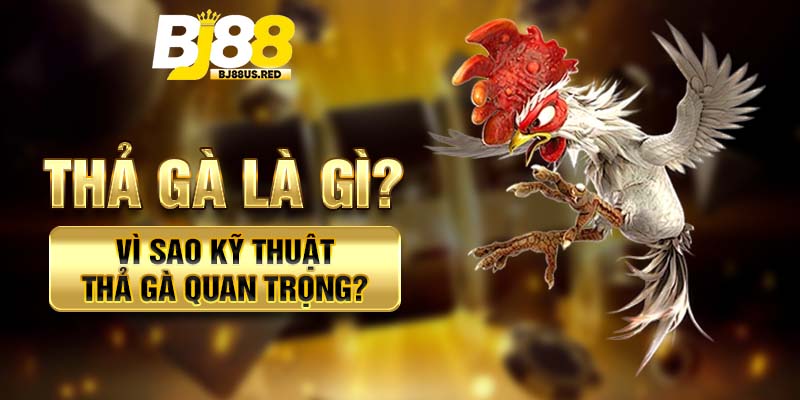 Thả gà là gì? Vì sao kỹ thuật thả gà quan trọng?